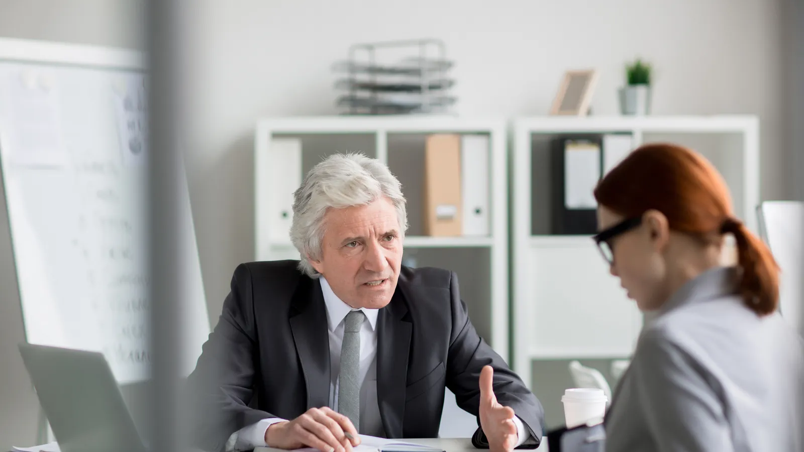 Experienced business consultant talking with a client