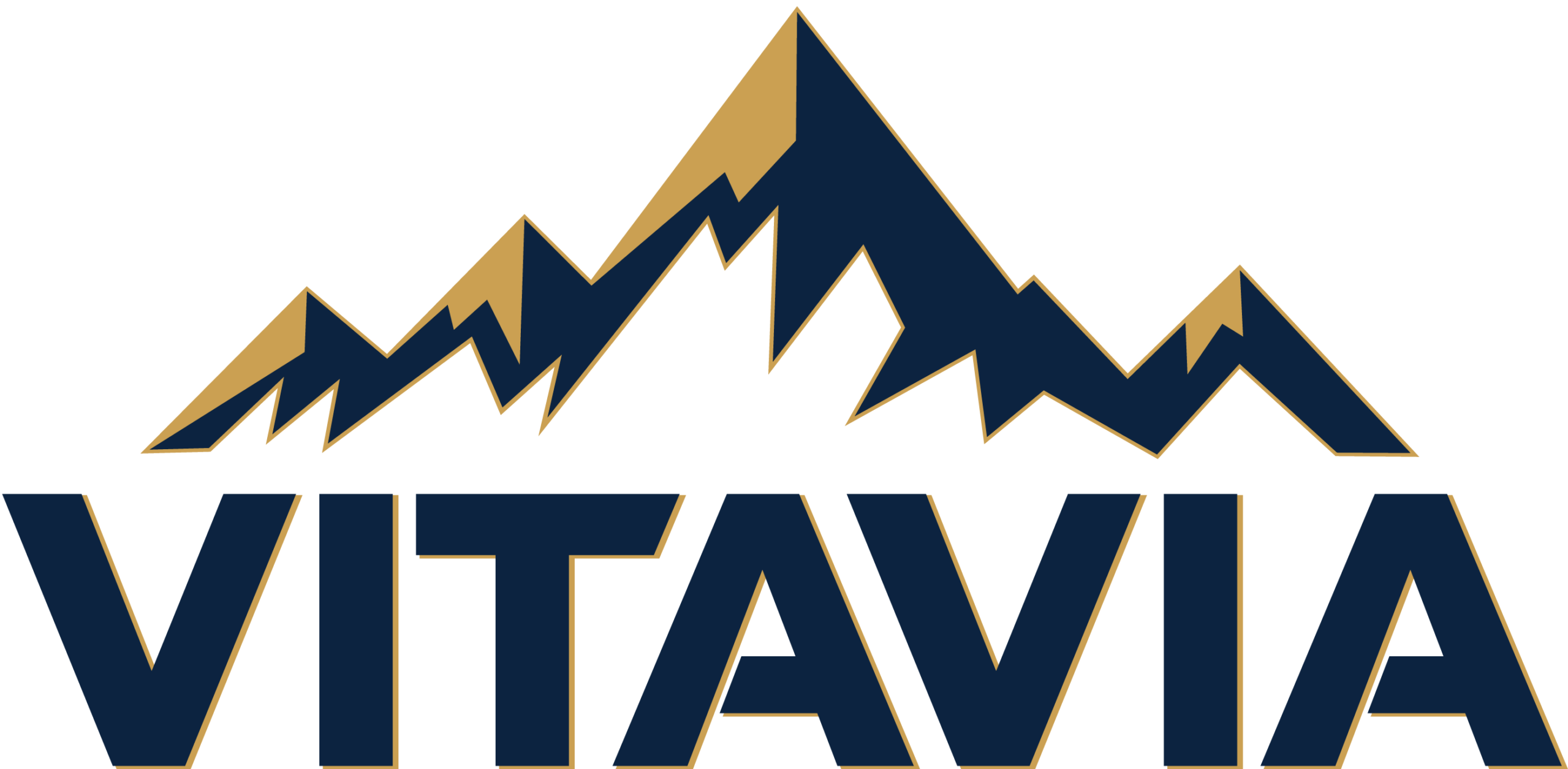 Logo Vitavia